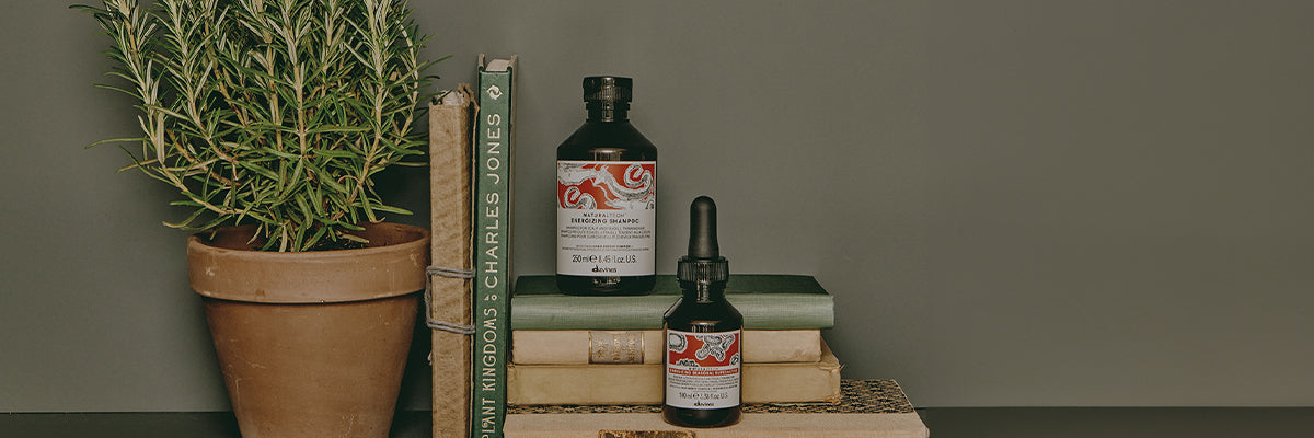 Essenziali d’autunno