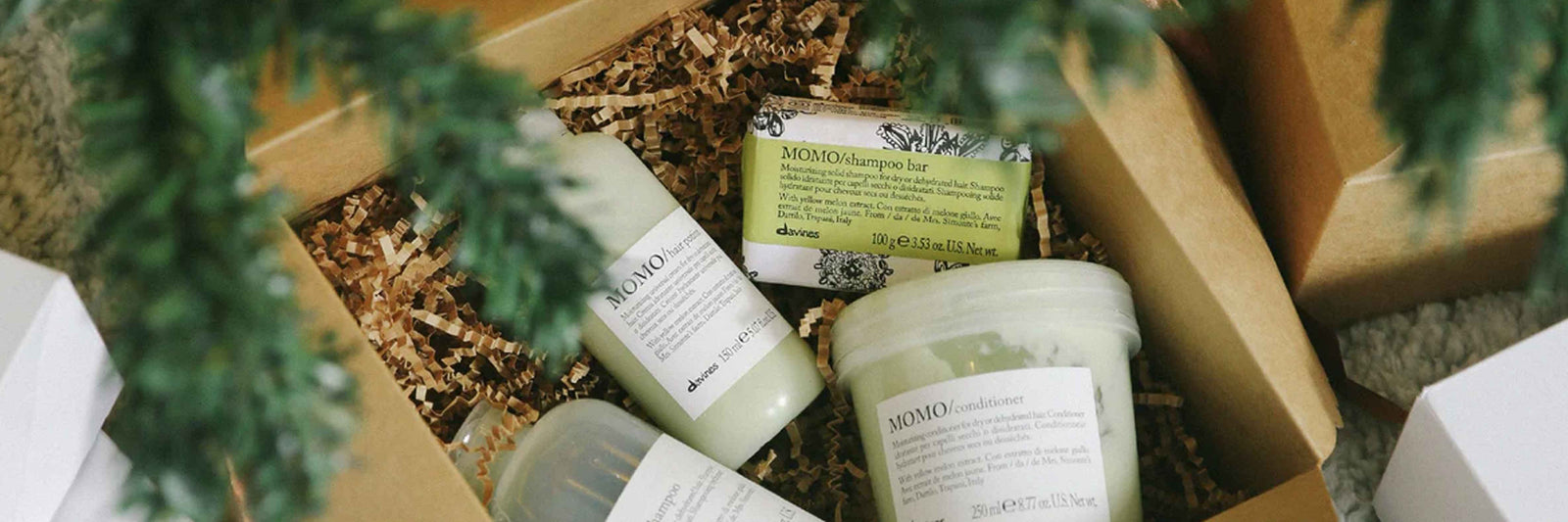 Essenziali per l'inverno