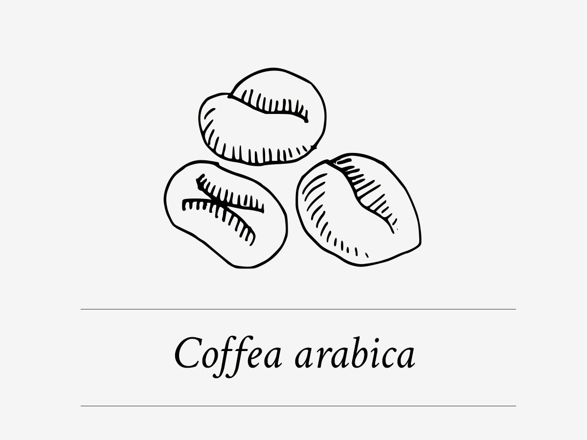 Ingrediente