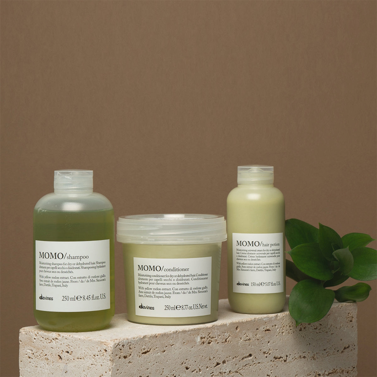 Translation missing: it.products.general.vendor: ESSENTIAL HAIRCARE MOMO Shampoo  Shampoo idratante per capelli secchi o crespi -100x.jpg?v=1738613628