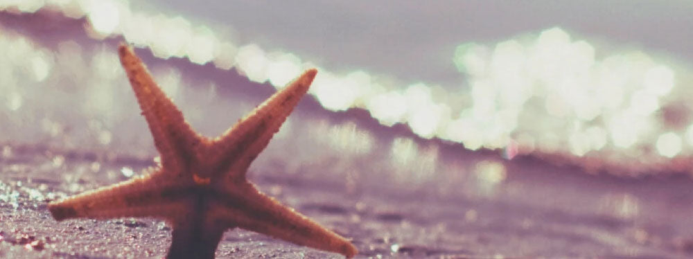 Davines - Solari sostenibili naturali per corpo e capelli