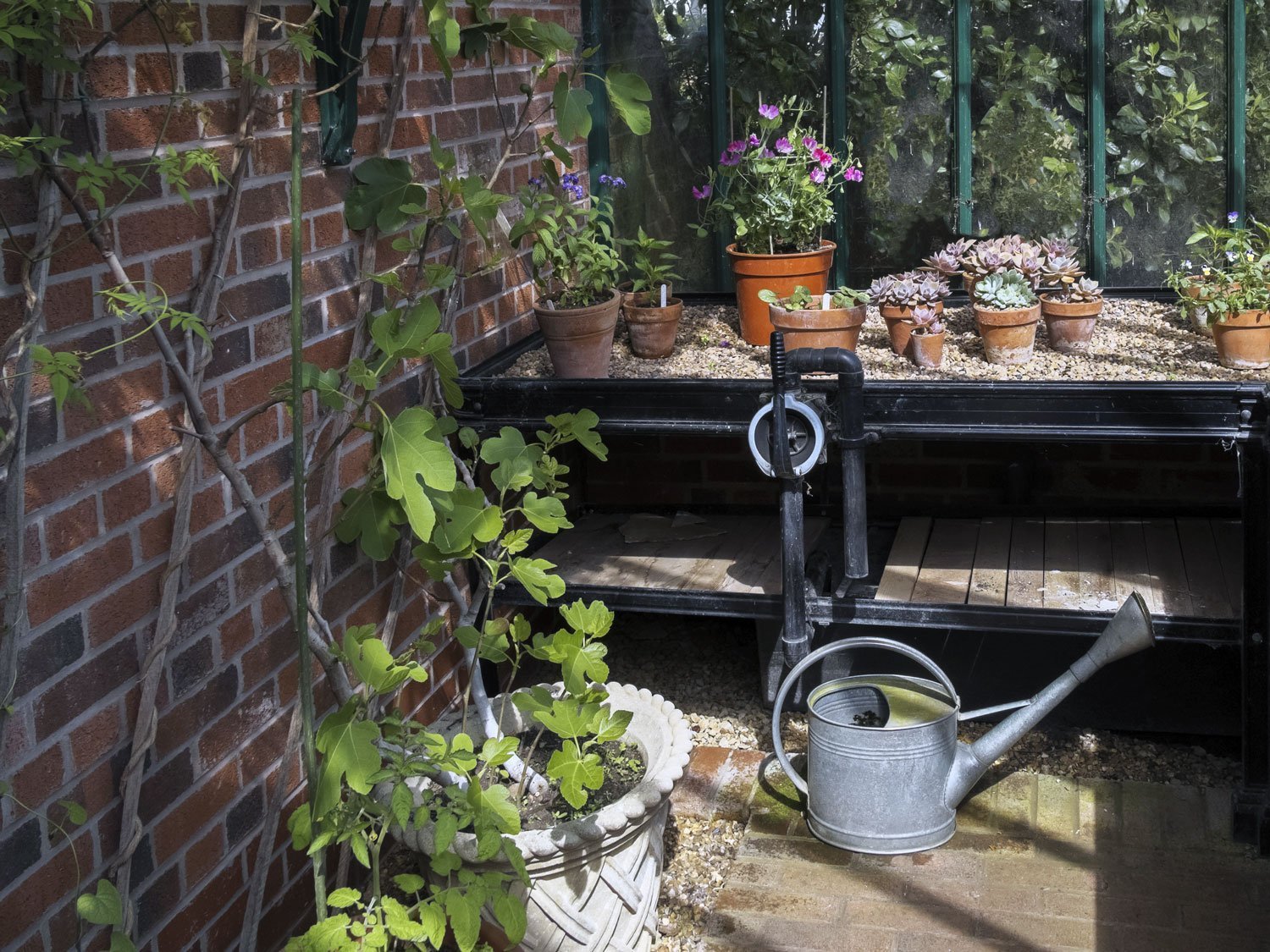 Tre consigli per un'estate green