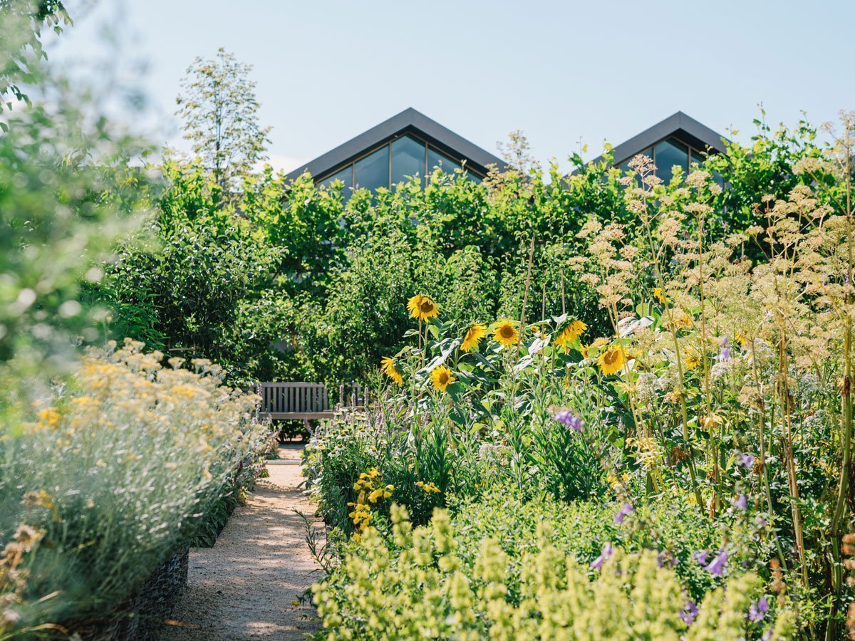 In cammino per la sostenibilità: risultati e obiettivi 2019/20