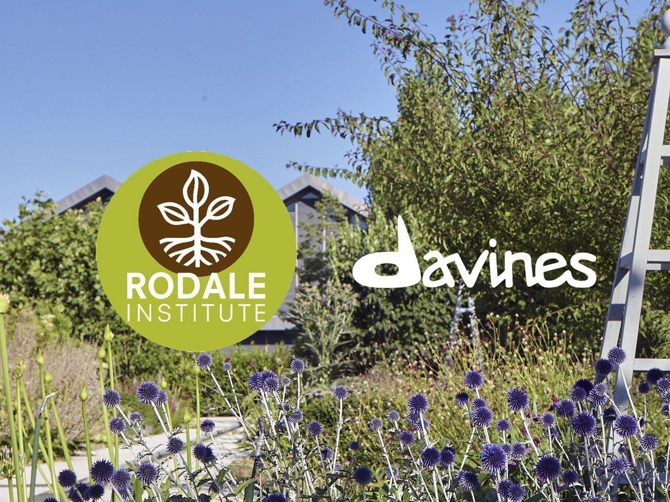 Agricoltura rigenerativa: esploriamo la nuova frontiera della sostenibilità