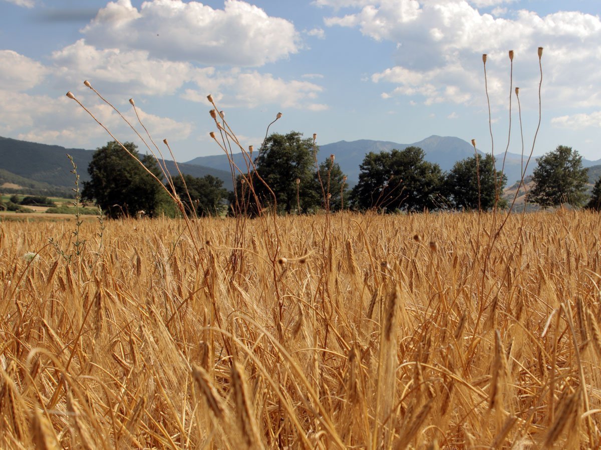 Viaggio in Italia con Essential Haircare