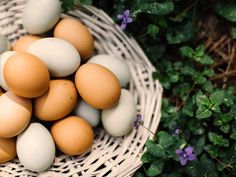 Sei consigli per una Pasqua sostenibile