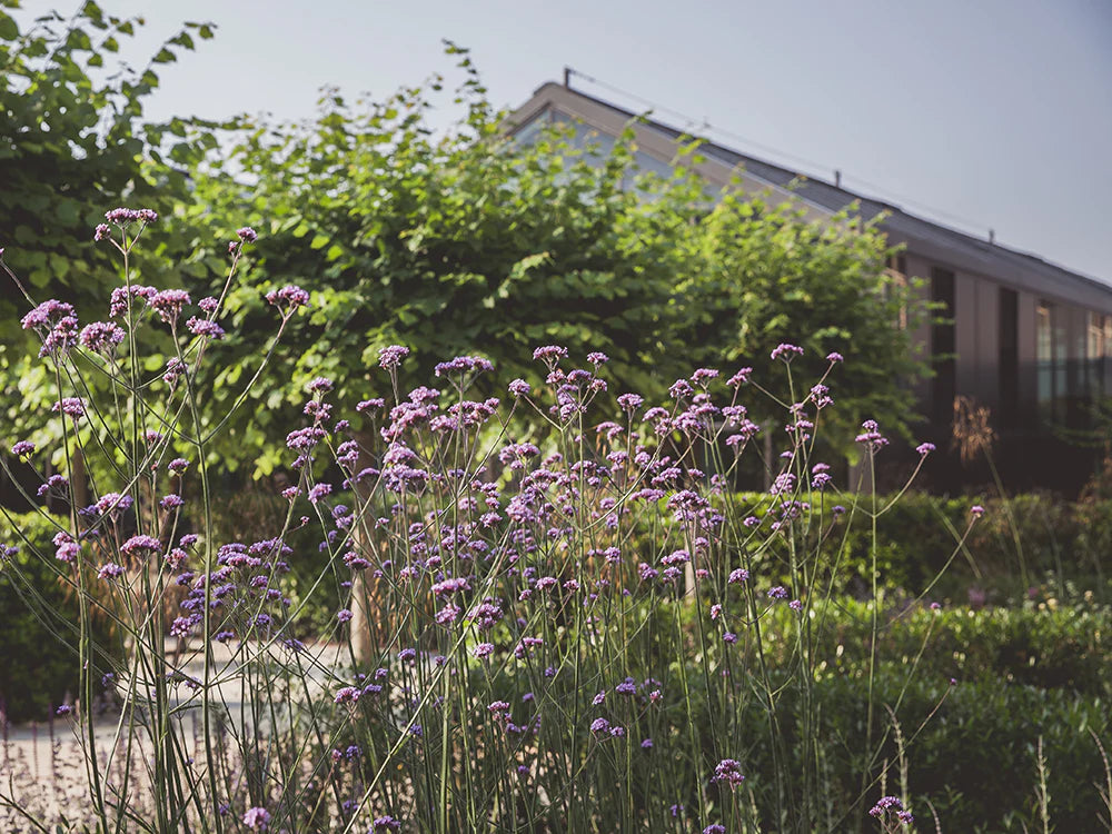 Davines diventa Società Benefit!