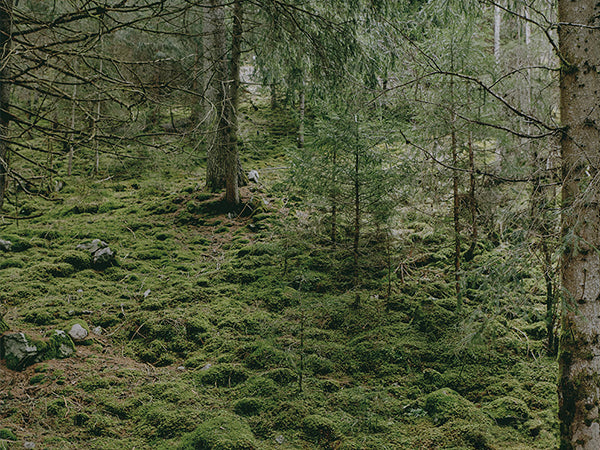 Davines - Siamo dalla parte della Terra
