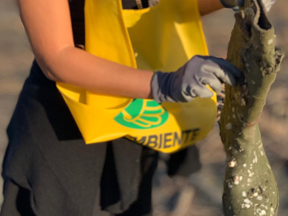 1000 chili di rifiuti in meno nel mare