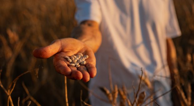 Agricoltura Organica Rigenerativa - Davines