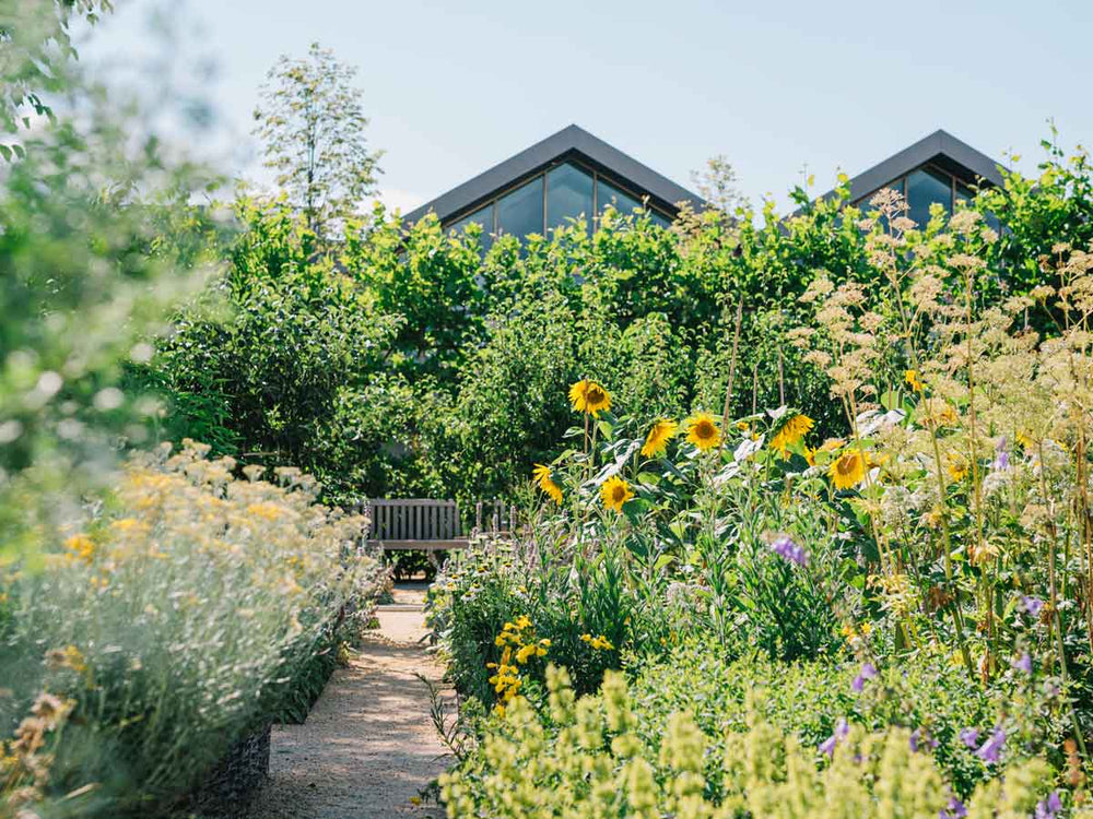 Jardim com flores no Davines Village